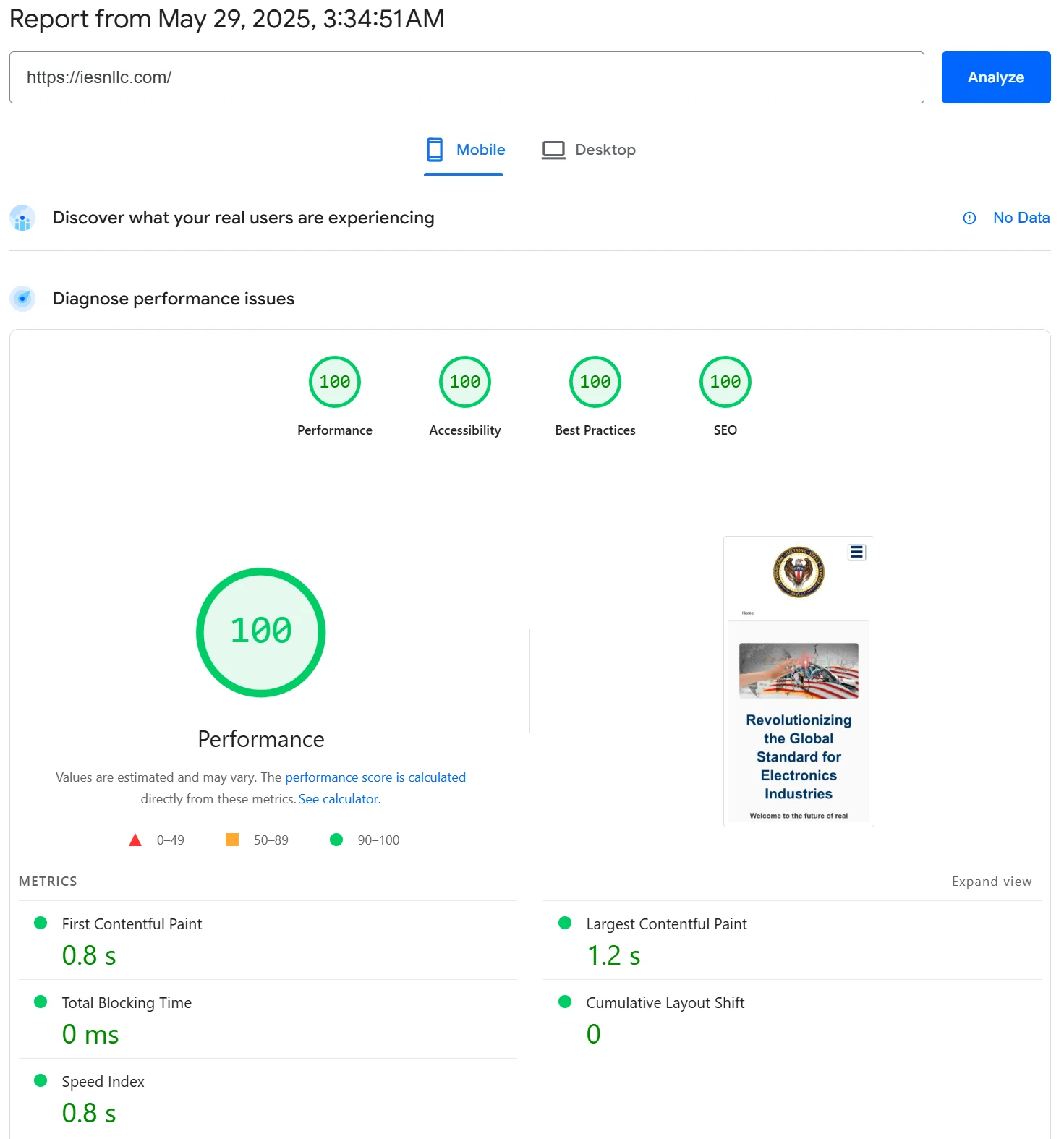 iESN Pagespeed Mobile Score